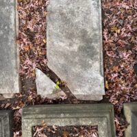 Evelina Talbot Drake